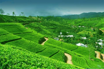 'மலையகம் 200' முத்திரை: மக்களிடம் விடுக்கப்பட்டுள்ள கோரிக்கை