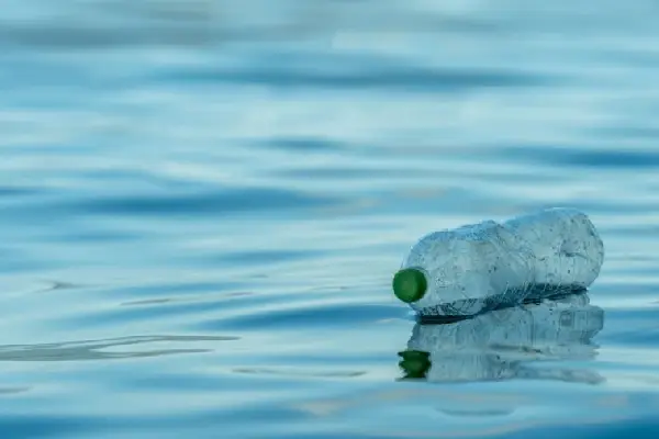 கடலில் மிதந்து வந்த போத்தலில் உள்ள திரவத்தை குடித்த இருவர் பலி : புத்தளத்தில் சம்பவம் | Bottle Floating In Sea கடலில் மிதந்து வந்த போத்தலில் உள்ள திரவத்தை குடித்த இருவர் பலி : புத்தளத்தில் சம்பவம் | Bottle Floating In Sea