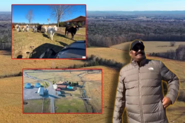 அமெரிக்காவில் 300 ஏக்கரில் பண்ணை வயல் - விவசாயத்தில் அசத்தும் பஞ்சு முட்டாய் நடிகர்!