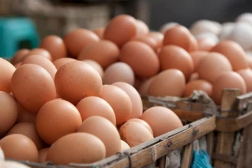 முட்டை இறக்குமதி குறித்து அமைச்சர் வெளியிட்டுள்ள அறிவிப்பு