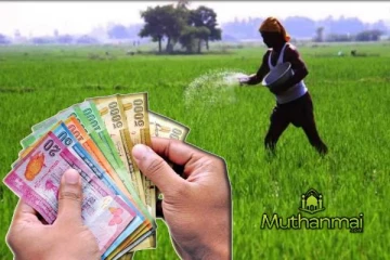 உலக சந்தையின் நிலைமை! உர மானிய விலை ஏற்படவுள்ள மாற்றம்