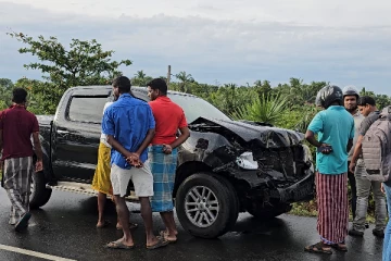 வாயில்லா ஜீவன்களை கொன்ற வாகனம்