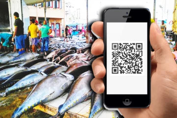 QR நடைமுறை மூலம் மீன் கொள்வனவு - இலங்கை கடற்றொழில் கூட்டுத்தாபனம் அறிவிப்பு