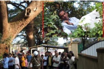 நீதிமன்றத்துக்கு வந்த இளைஞர் மா மரத்தில் ஏறி ஆர்ப்பாட்டம்