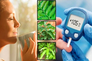 இந்த இலைகள் மட்டும் போதும் சர்க்கரை நோய் குணமாகும்