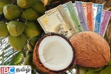 தேங்காய் தட்டுப்பாடு குறித்து வெளியான தகவல்