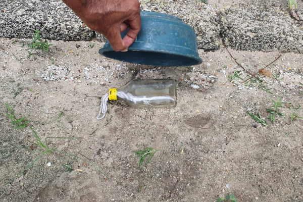 யுக்திய நடவடிக்கைக்கு பழிவாங்கும் செயலாக மண்டைதீவு பொலிஸ் காவலரண் மீது தாக்குதல் | Special Police Action Jaffna யுக்திய நடவடிக்கைக்கு பழிவாங்கும் செயலாக மண்டைதீவு பொலிஸ் காவலரண் மீது தாக்குதல் | Special Police Action Jaffna