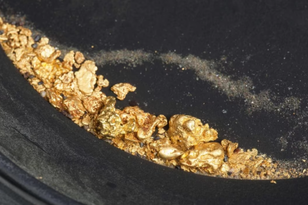 வெளிநாடொன்றில் புதிய தங்க சுரங்கம் கண்டுபிடிப்பு | New High Grade Gold Mine Found In South America
