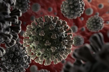 கொரோனா மூன்றாவது அலை குழந்தைகளை பாதிக்காது - எய்ம்ஸ் நடத்திய ஆய்வில் தகவல்