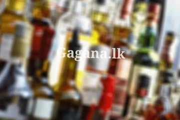 සුරාසැල් ගැන එකවරම දැනුම්දීමක් මෙන්න.