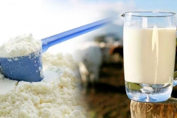 வவுனியாவில் பால் மாவுக்கு தட்டுப்பாடு