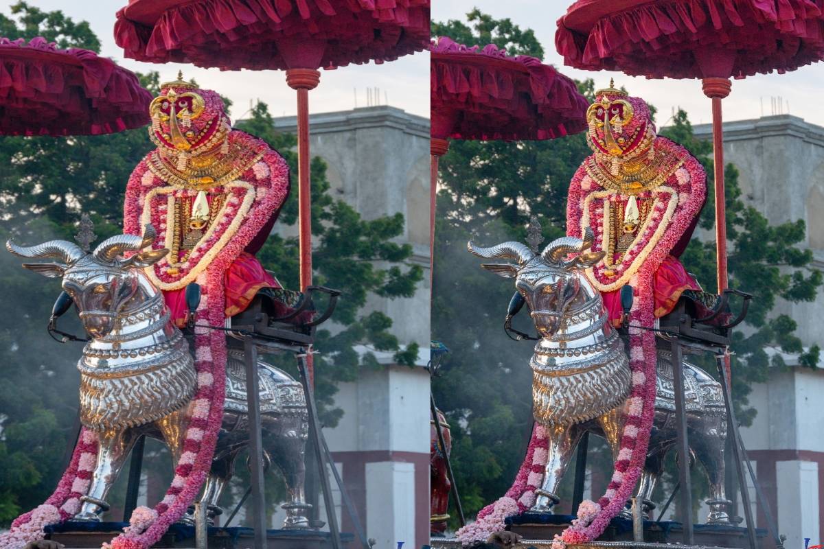 நல்லூர் கந்தசுவாமி ஆலய மகோற்சவம் ; வெகுவிமரிசையாக கொண்டாடப்பட்ட 15ஆம் திருவிழா சிறப்பு | 15Th Festival Of Nallur Kandaswamy Temple