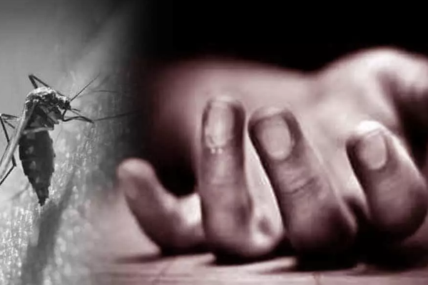 யாழ்ப்பாணத்தில் டெங்கினால் ஒருவர் உயிரிழப்பு - ஐபிசி தமிழ்