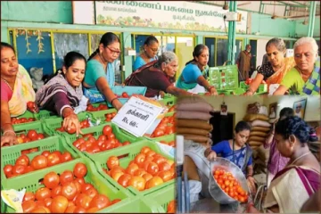 300 ரேசன் கடைகளில் இன்று முதல் குறைந்த விலையில் தக்காளி விற்பனை..!