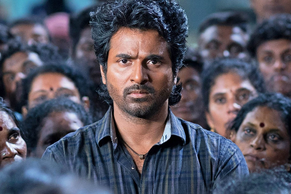 தன் தோல்வி படம் பற்றி அடிக்கடி பேசும் சிவகார்த்திகேயன்! எல்லாம் இதற்குதானா? | Sivakarthikeyan About His Failure Films தன் தோல்வி படம் பற்றி அடிக்கடி பேசும் சிவகார்த்திகேயன்! எல்லாம் இதற்குதானா? | Sivakarthikeyan About His Failure Films