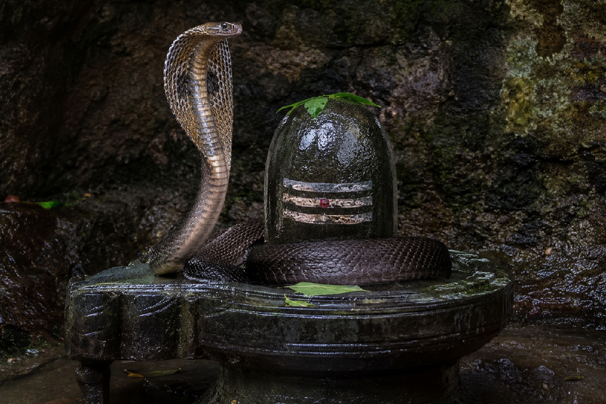 கனவில் சிவலிங்கத்துடன் பாம்பு வந்தால் என்ன பலன்? | Meaning Of A Dream With A Snake And A Shiva Lingam