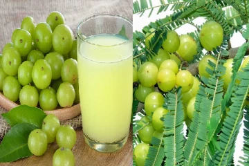 හිසකෙස් රකින නෙල්ලි වල ගුණ මෙන්න...