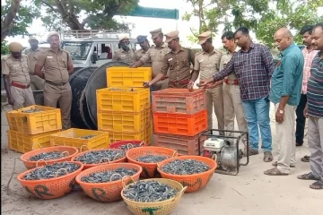 இலங்கைக்கு கடத்துவதற்காக பதுக்கி வைக்கப்பட்டிருந்த பெருமளவிலான கடலட்டை மீட்பு (Video)