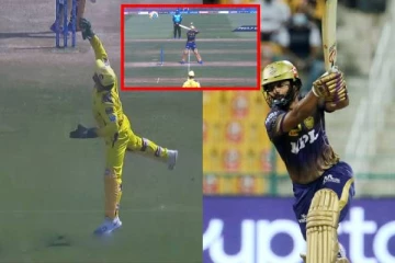 டோனி பிடித்த அற்புதமான கேட்ச்! நோ பால் கொடுத்த நடுவர்: ஏன் தெரியுமா? கொடுக்கப்பட்ட விளக்கம்