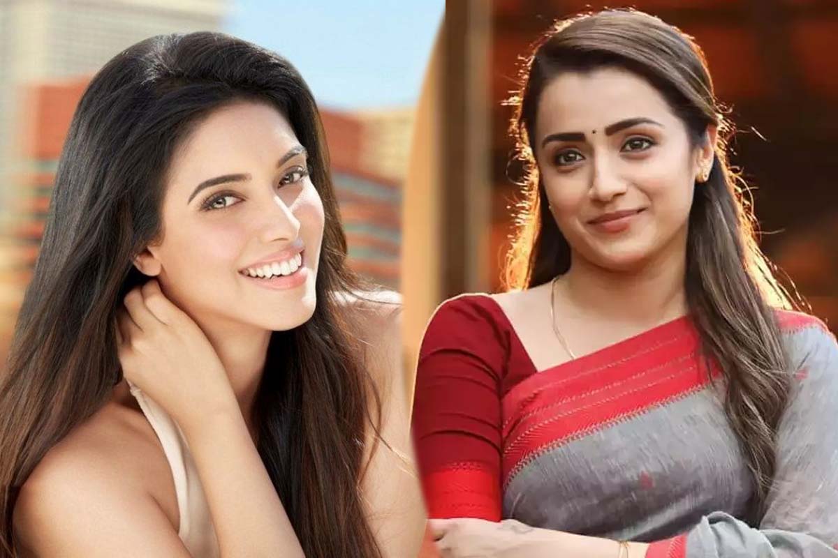 த்ரிஷா, அசின் மோதலா? பலரது கேள்விக்கு வெளியான பதில் | Actress Trisha Asin Conflict Reason