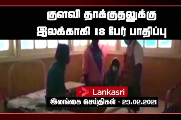 இருவேறுபட்ட இடங்களில் குளவி தாக்குதலுக்கு இலக்காகி 18 பேர் பாதிப்பு