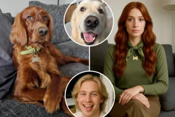 ChatGPTயில் பெண்ணாக மாறிய நாய்!