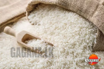 රජයෙන් සුපිරි වැඩක් - වී මෙට්‍රික්ටොන් 40,000කට වැඩියෙන් රජය මිලදී අරන්