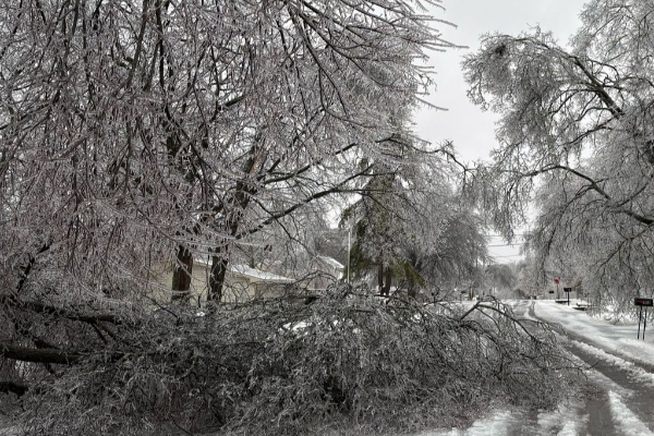 அமெரிக்காவின் 23 மாநிலங்களில் அவசர நிலை | Power Outages Skyrocket In The South அமெரிக்காவின் 23 மாநிலங்களில் அவசர நிலை | Power Outages Skyrocket In The South