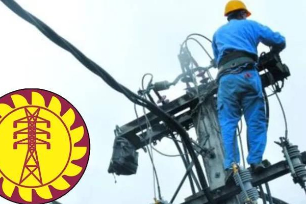 மின் கம்பம் வீழ்ந்து ஊழியர் உயிரிழப்பு | An Employee Was Killed When An Electric Pole Fell