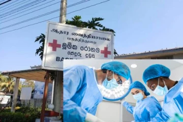 யாழில் தீவிரமாக பரவும் கொடிய நோய்... இதுவரையில் 121 பேர் பாதிப்பு!