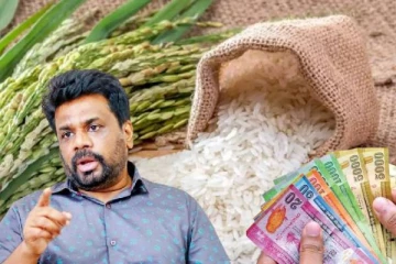 அரிசி விலை தொடர்பான பிரச்சினை: ஜனாதிபதி விடுத்துள்ள பணிப்புரை