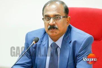 ආරක්ෂක නියෝජ්‍ය ඇමතිට එරෙහි විශ්වාසභංග යෝජනාවට නීතිමය බාධා