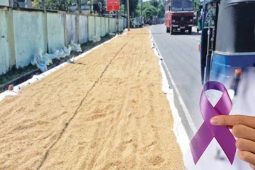 வீதியில் உலரவிடப்படும் நெல்லை உண்பதால் ஆபத்து : விவசாயிகளுக்கு கோரிக்கை