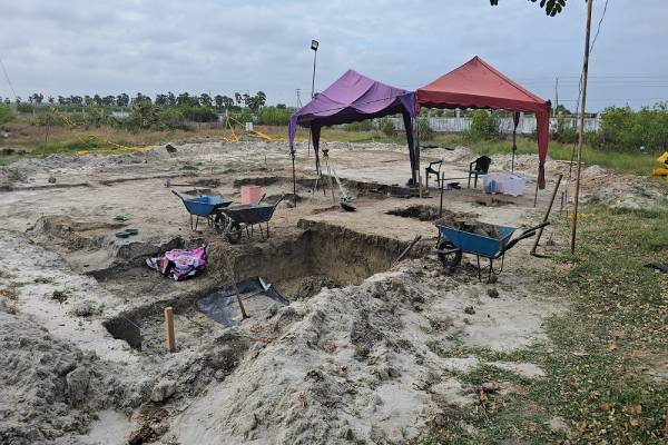 யாழ்.செம்மணியில், தமிழர் அழிவின் சாட்சி; சிறிதரன் வலியுறுத்து | Jaffna Chemmani Tamil Destruction Siridaraninsists