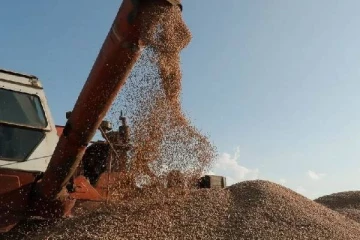 தானிய இறக்குமதி தடை: அண்டை நாடுகள் மீது அதிரடி நடவடிக்கை எடுக்கும் உக்ரைன்