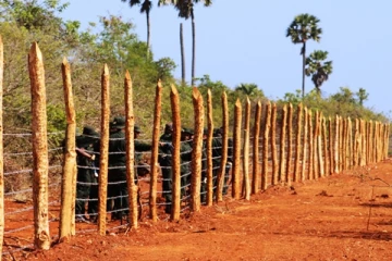 வன்னியின் காணி பிரச்சனைகளுக்கு தீர்வு காணும்  நடமாடும் சேவை
