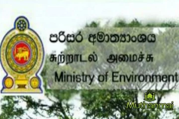 பேரழிவைத் தொடர்ந்து சுற்றாடல் அமைச்சு வெளியிட்ட தகவல்