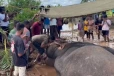 කාවන්තිස්ස වෙනුවෙන් මුළු රටම බලා සිටි තීන්දුව - වෙඩි තැබූ සිදුවීමේ ප්‍රධාන සැකකරුවන් රිමාන්ඩ්