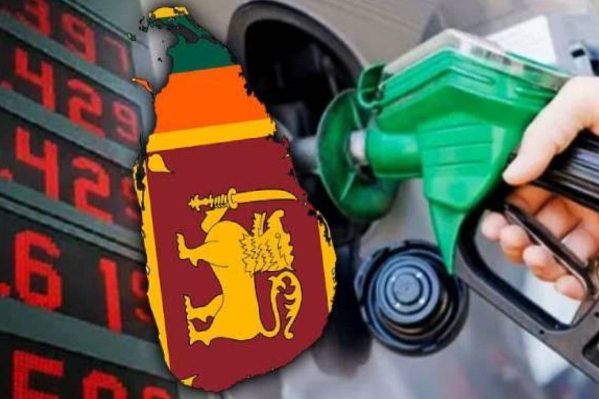 டீசல் விற்பனையால் நெருக்கடியில் இலங்கை பொருளாதாரம் - மீண்டெழ வழிதேடும் டி.ஜே. ராஜகருணா | Sri Lanka In Crisis Due To Diesel Sales