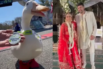 மாரத்தான் போட்டியில் பதக்கத்தை வென்ற வாத்து!  தடைகளை தாண்டி துணைவிகளுடன் ஓட்டம்... வினோத உலகம்