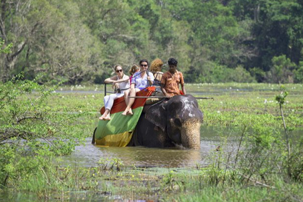 கடந்த மாதம் வந்து குவிந்த சுற்றுலா பயணிகள் | Tourists Flocked Last Month