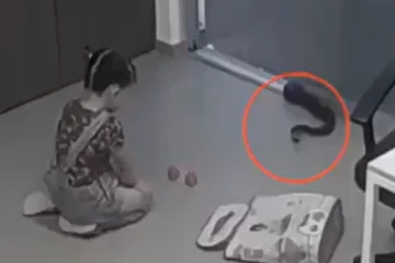 ராட்சத பாம்புடன் விளையாடிய குழந்தை.... பேரதிர்ச்சியில் உறைந்த தாய்! நடுநடுங்க வைக்கும் திகில் காட்சி