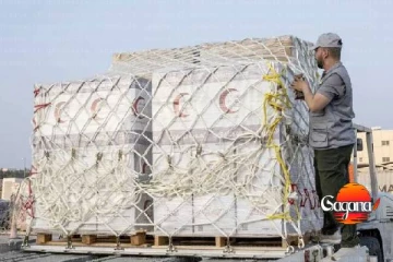 විදෙස් ආධාර කළමනාකරණයට අනුකමිටු