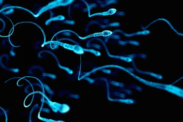 நவீன தொழில் நுட்பங்களை பயன்படுத்தி மனித இனப்பெருக்க திட்டம்