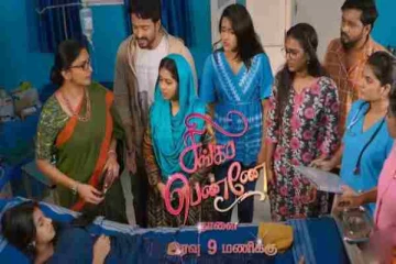 ஆனந்தி கர்ப்பம், ஷாக் ஆன மகேஷ், அன்பு... சிங்கப்பெண்ணே சீரியலில் அடுத்து நடக்கப்போவது என்ன?