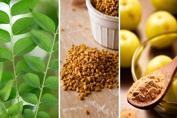 இளம் வயதிலேயே நரைமுடியால் அவதியா? இந்த வீட்டு வைத்தியமே போதும் | Grey Hair Naturally Proven Home Remedies In Tamil