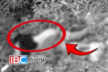 மயானத்திற்கு அருகிலிருந்து பெண்ணொருவரின் சடலம் மீட்பு