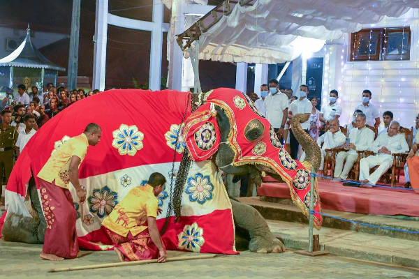 வரலாற்று சிறப்பு மிக்க முருகன் ஆலயத்தில் ஜனாதிபதி ரணில்(Photos) | President Ranil At The Historic Murugan Temple