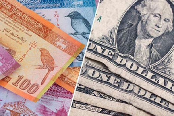 இன்று டொலரின் பெறுமதியில் ஏற்பட்டுள்ள மாற்றம்! மத்திய வங்கி வெளியிட்ட அறிவித்தல் - ஐபிசி தமிழ்