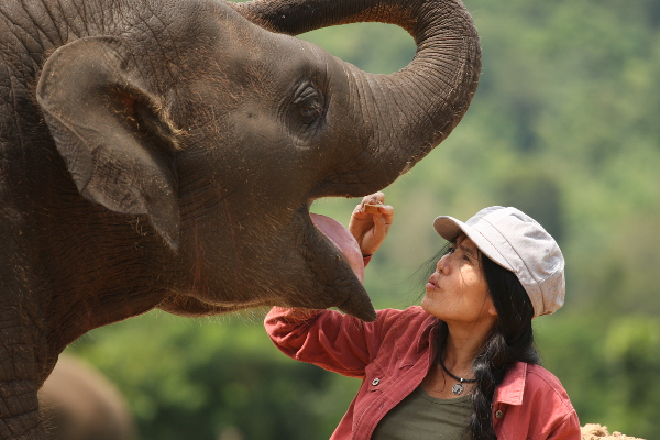 பாகனை இரண்டாகக் கிழித்த யானை! | The Elephant That Tore Bagan In Two